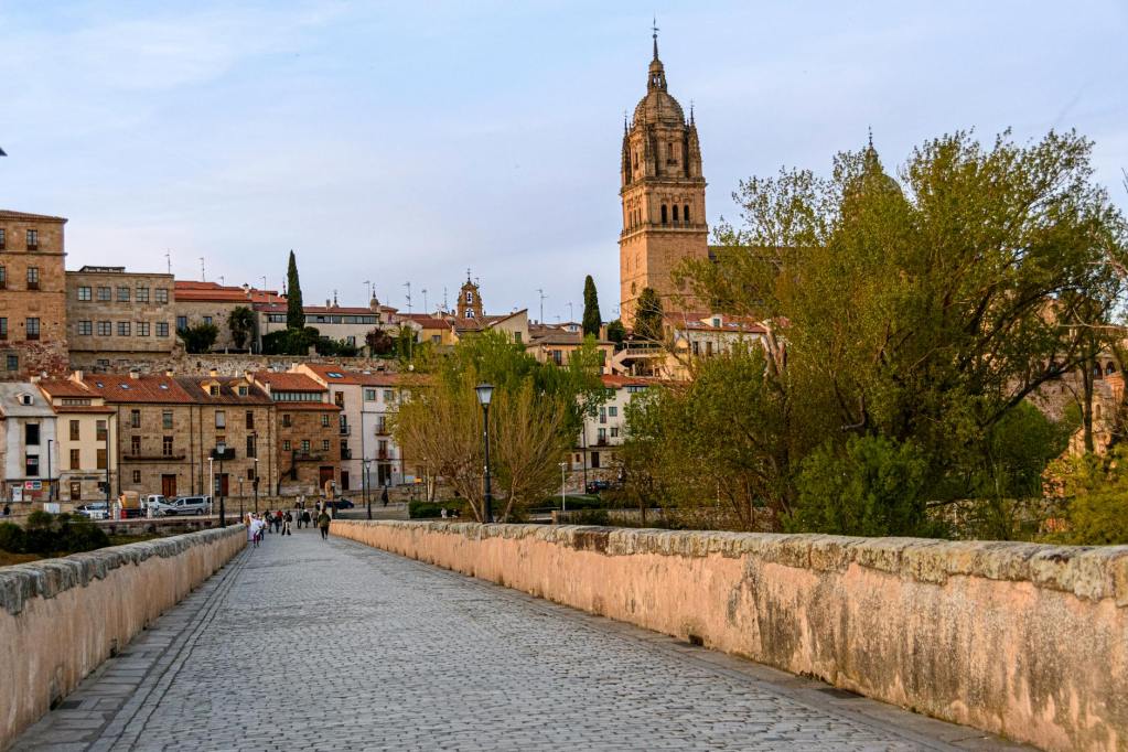 roman bridge of salamanca